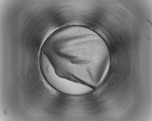 X0000097781132200803211753