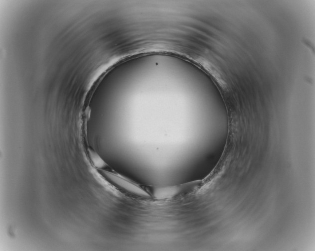 X0000097781134200803211753