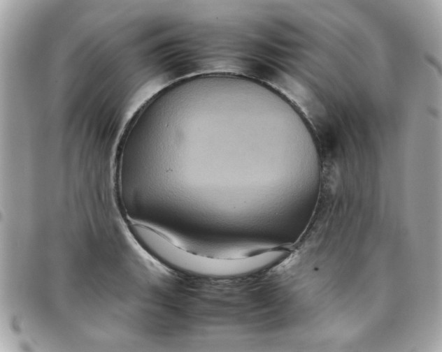 X0000097781135200803211753