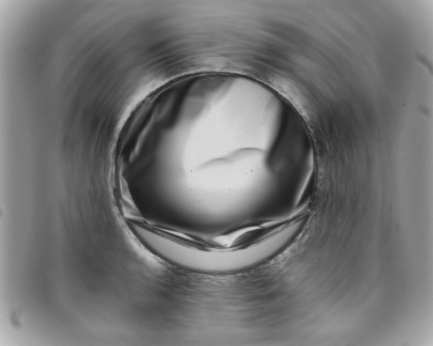 X0000097781136200803211753