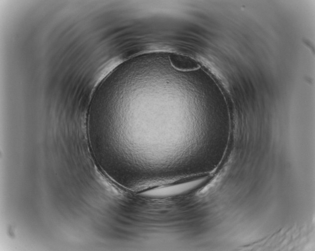 X0000097781137200803211753