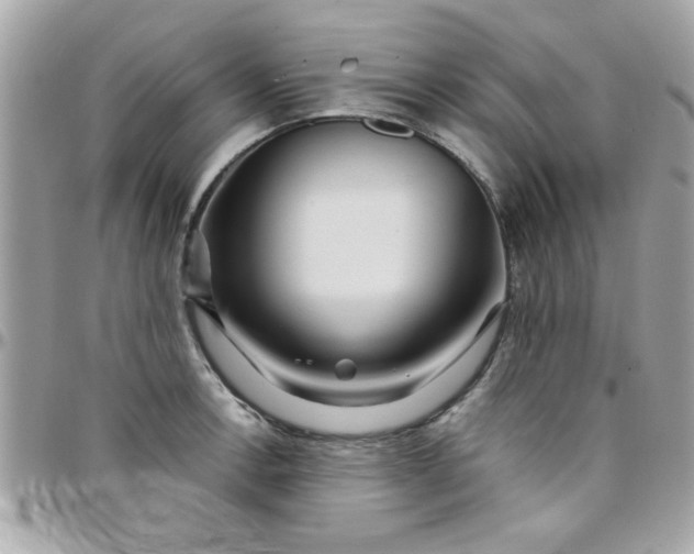 X0000097781138200803211753