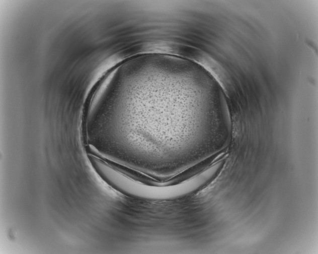 X0000097781139200803211753