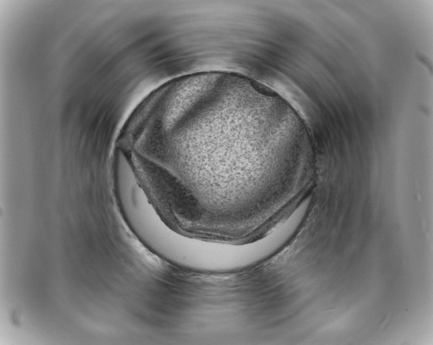 X0000097781140200803211753