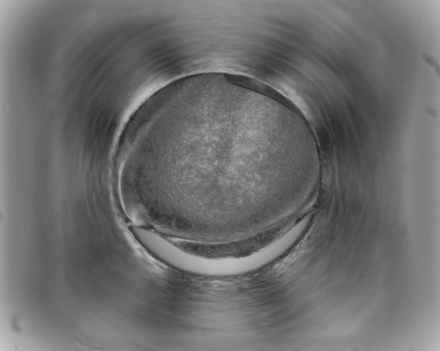 X0000097781144200803211753