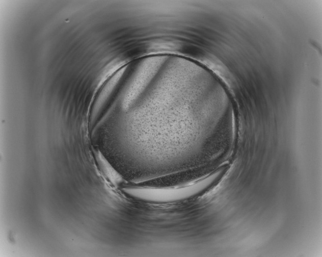 X0000097781145200803211753