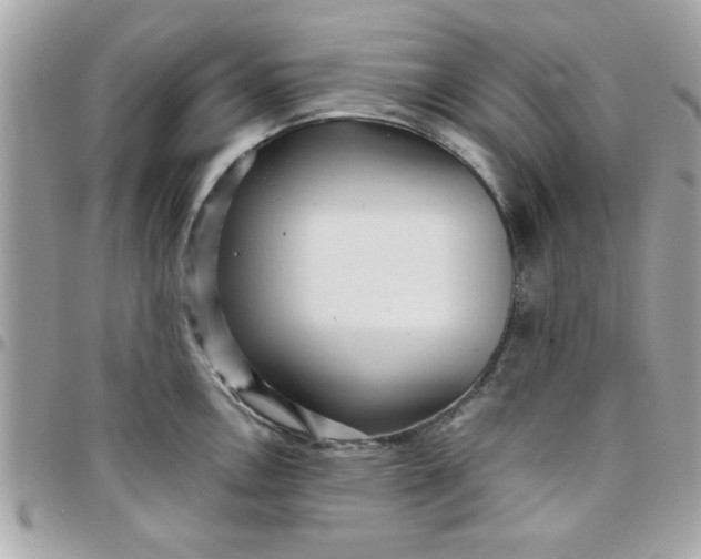 X0000097781146200803211753