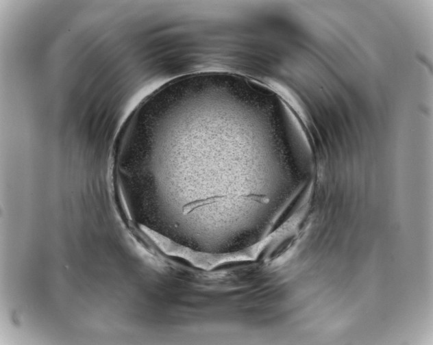 X0000097781149200803211753