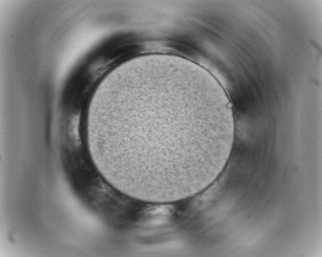 X0000097781150200803211753