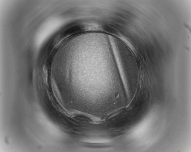 X0000097781151200803211753