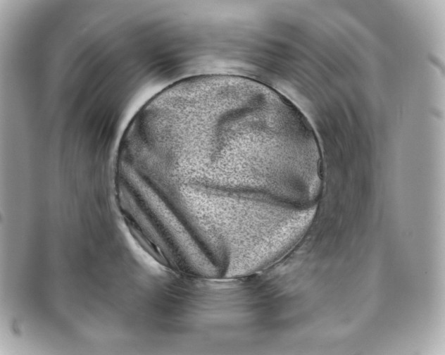 X0000097781152200803211753