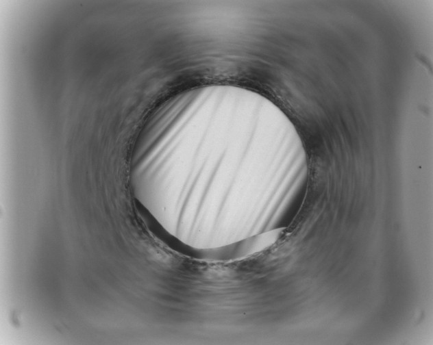 X0000097781153200803211752