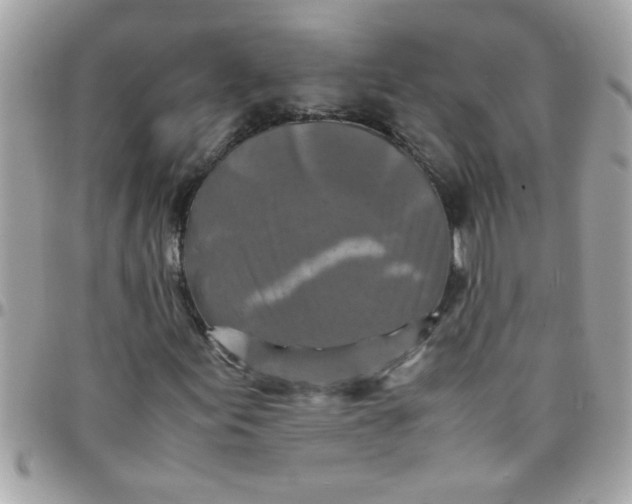 X0000097781155200803211752