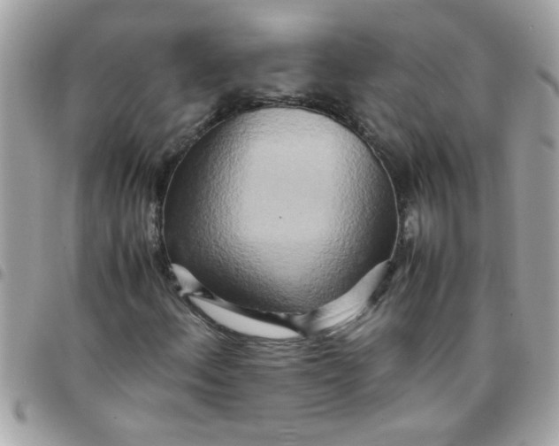 X0000097781156200803211752