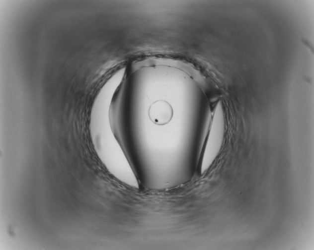 X0000097781157200803211752