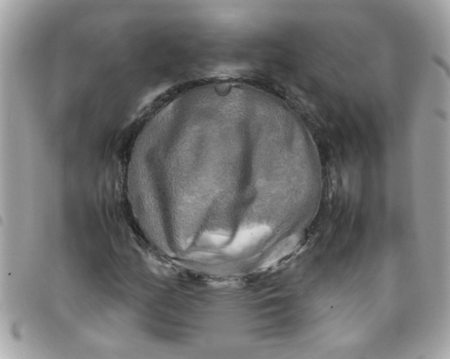 X0000097781158200803211752