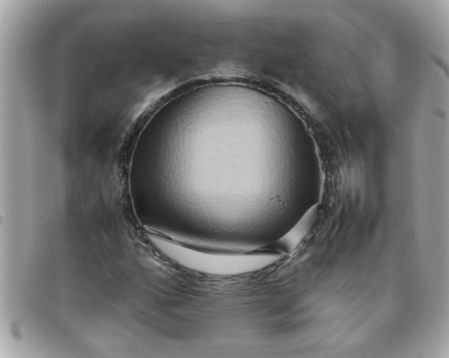 X0000097781160200803211752