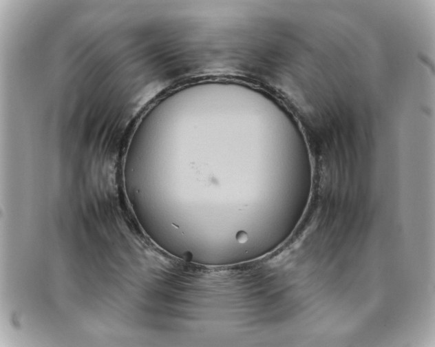 X0000097781162200803211752