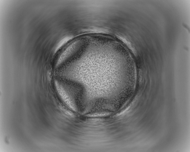 X0000097781163200803211752