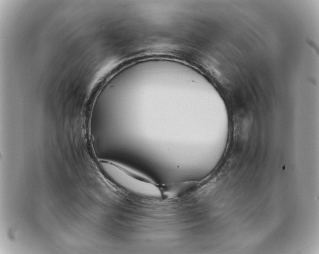 X0000097781164200803211752