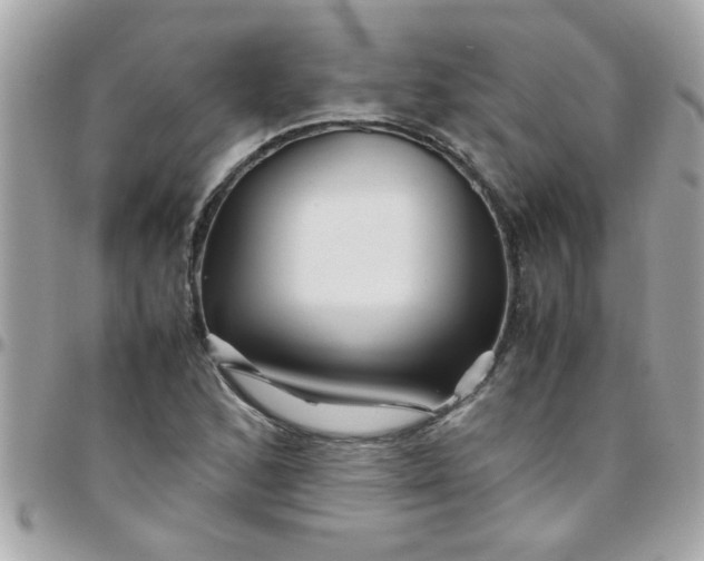 X0000097781168200803211752