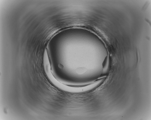 X0000097781169200803211752