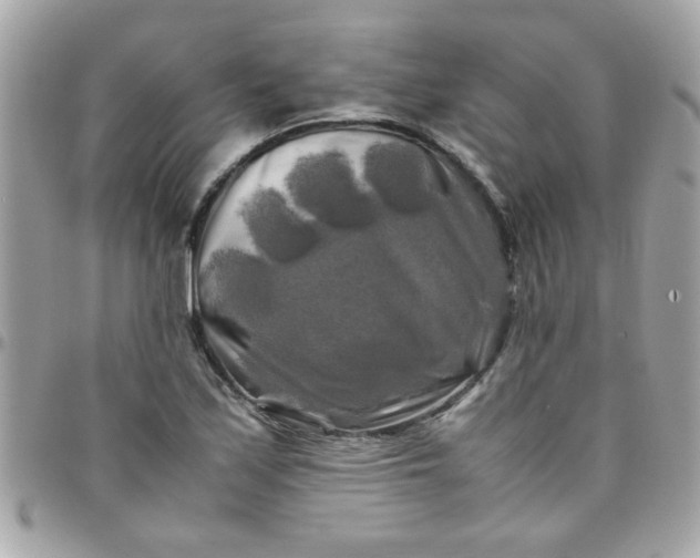 X0000097781171200803211752