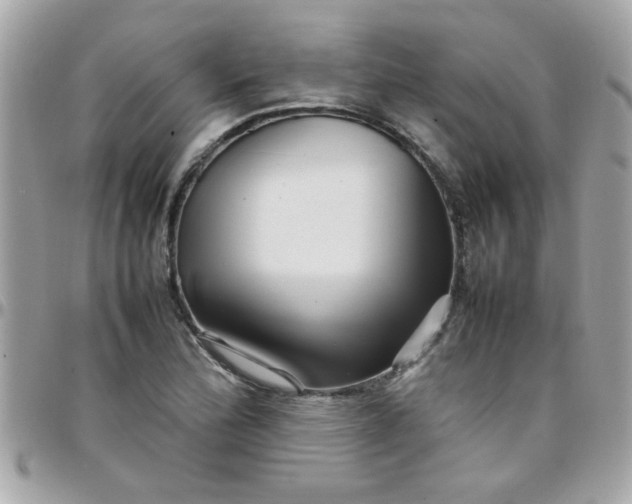 X0000097781172200803211752