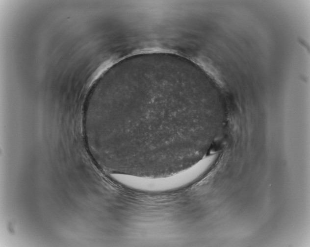 X0000097781173200803211752