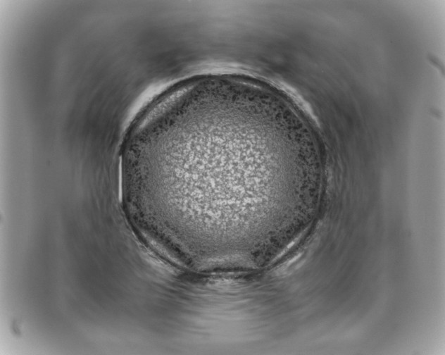 X0000097781175200803211752