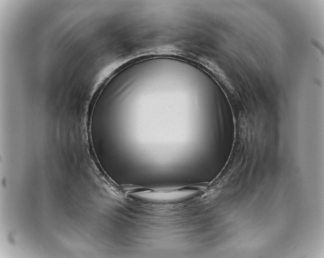 X0000097781176200803211752