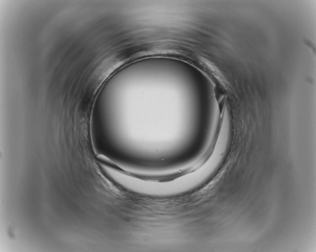 X0000097781177200803211752