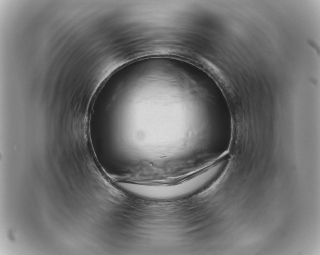 X0000097781178200803211752