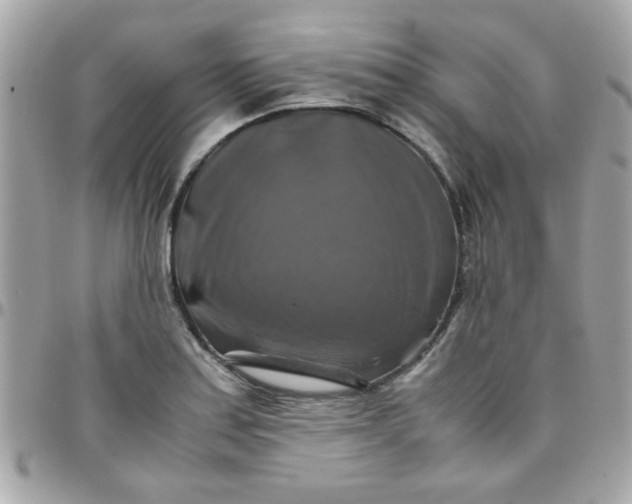 X0000097781179200803211752