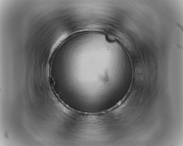 X0000097781180200803211752