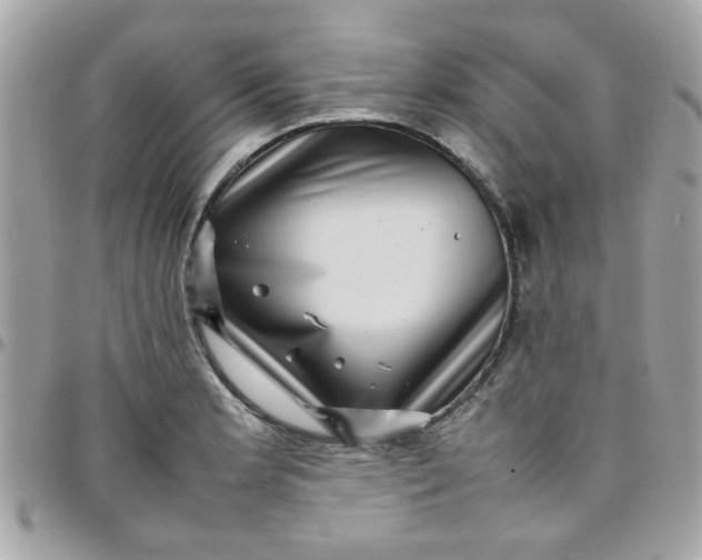 X0000097781181200803211752