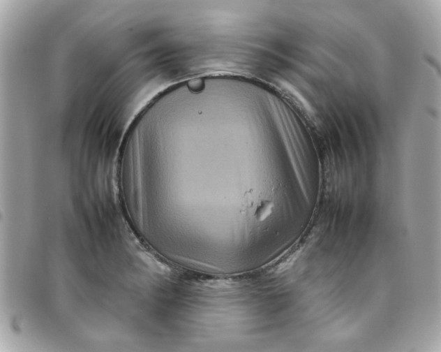 X0000097781182200803211752