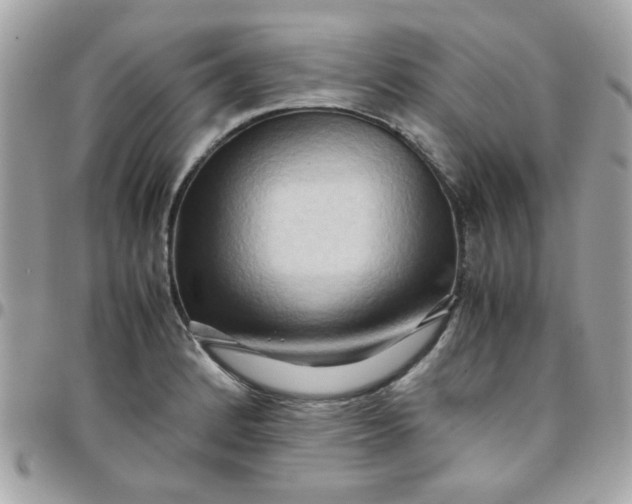 X0000097781184200803211752