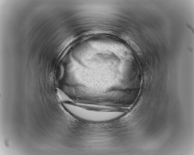 X0000097781185200803211752