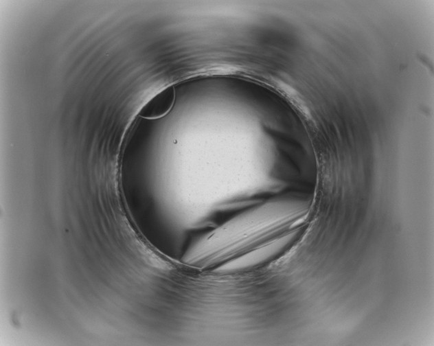 X0000097781186200803211752