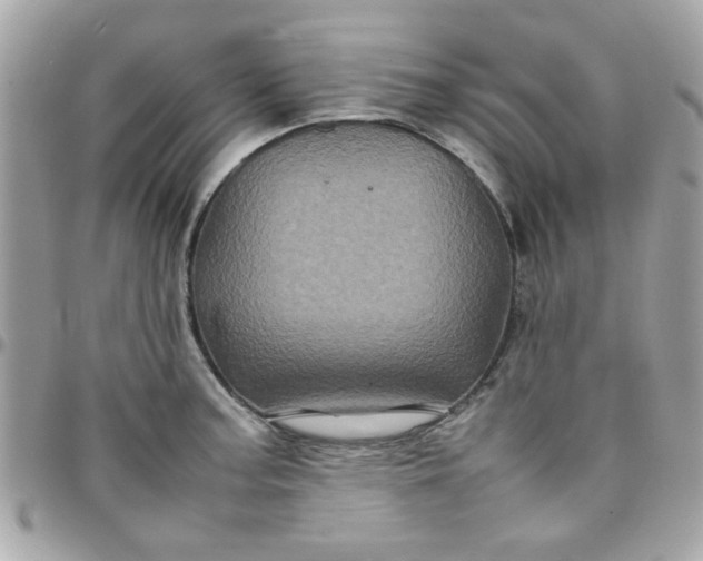 X0000097781187200803211752