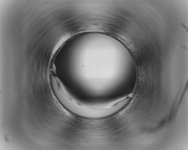 X0000097781188200803211752