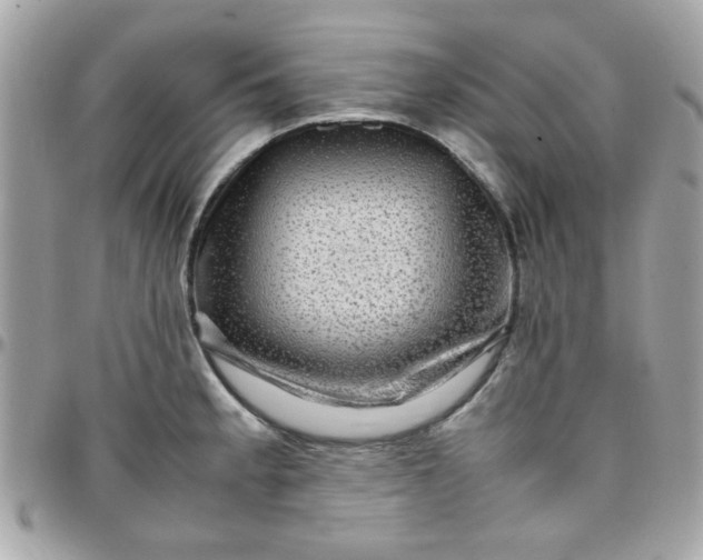 X0000097781189200803211752