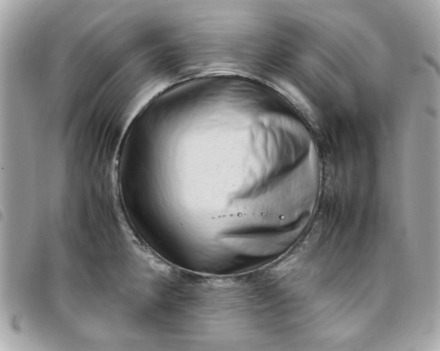 X0000097781190200803211752