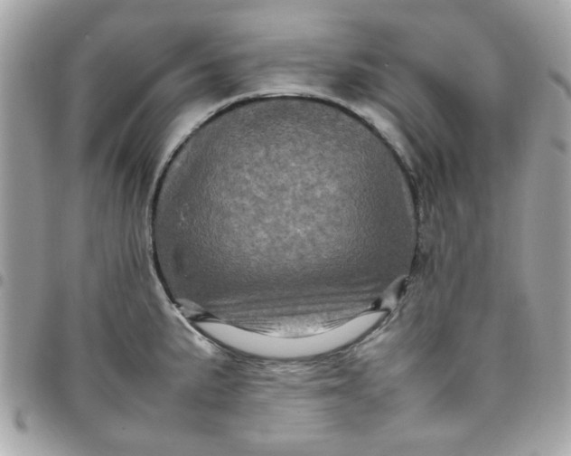 X0000097781191200803211752