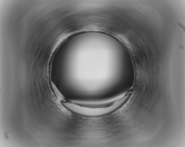 X0000097781192200803211752