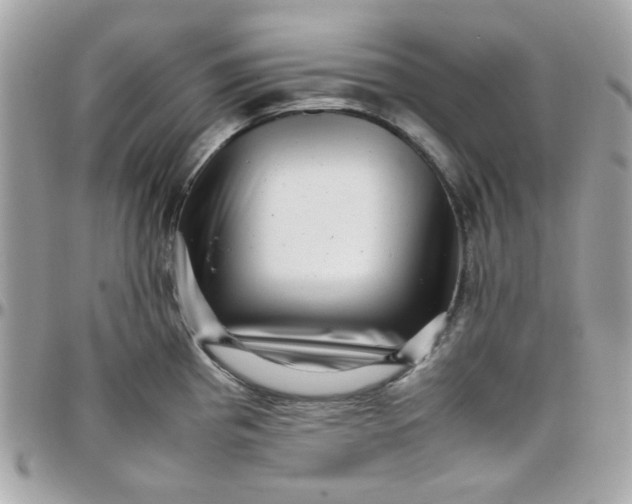 X0000097781193200803211752