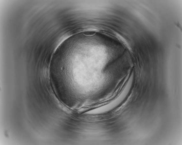 X0000097781194200803211752