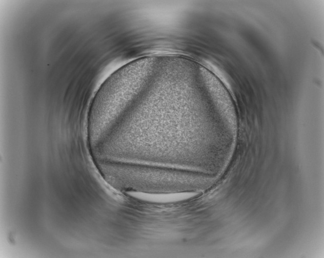 X0000097781195200803211752