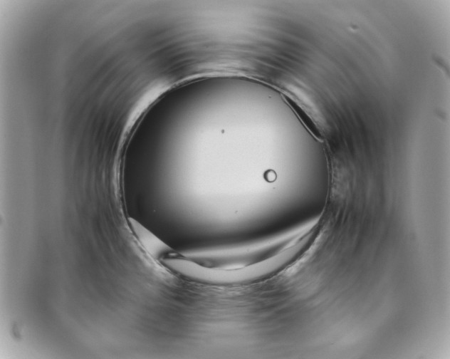 X0000097781196200803211752